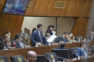 Embajadora japonesa recibe amenazas tras expresar preocupación por derogación de convenio con la Unión Europea - Nacionales - ABC Color