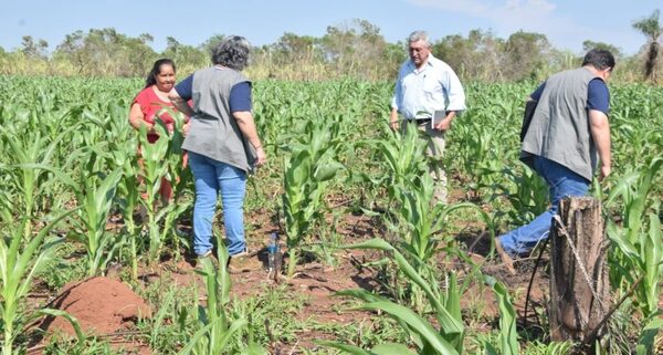 Ejecución presupuestaria llega a G. 30,3 billones