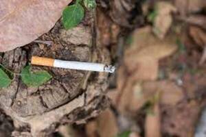 Daños colaterales del tabaco - El Independiente