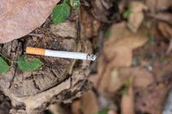 Daños colaterales del tabaco - El Independiente