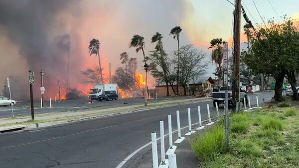 Incendios en Hawaii dejan 36 muertos y paraíso turístico reducido a cenizas - Unicanal