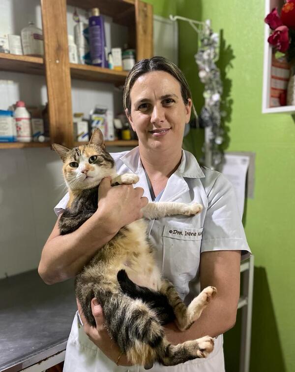 Veterinarios festejan su día pidiendo combate a la competencia desleal - La Clave