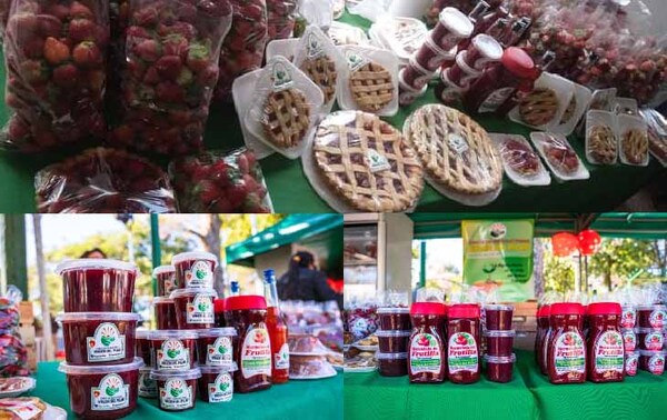 Expo frutilla en Coronel Oviedo – Prensa 5