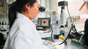 Una paraguaya entre científicos que desarrolla vacuna contra la enfermedad de Lyme