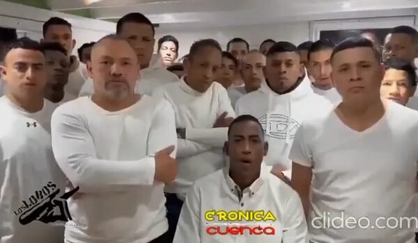 Grupo criminal “Los Lobos” da la cara y desmiente haber asesinado a candidato en Ecuador - Mundo - ABC Color