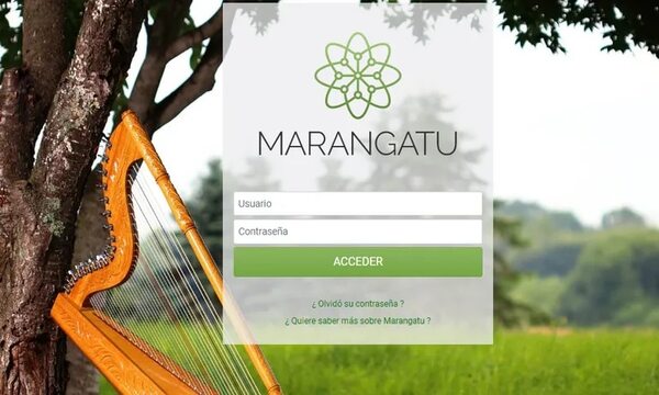 Sistema Marangatú se encuentra con fallas, informa la SET - Nacionales - ABC Color