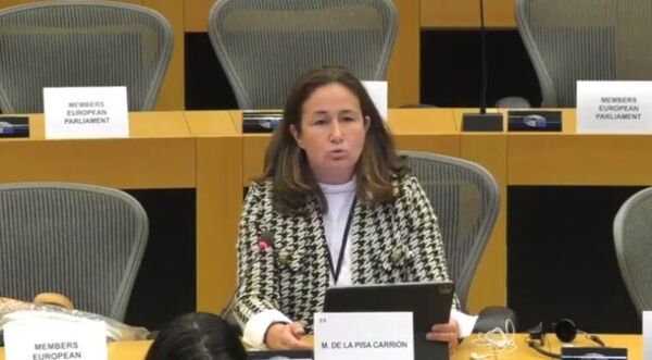 Eurodiputada aplaude a Paraguay por romper acuerdo con UE y denuncia chantaje