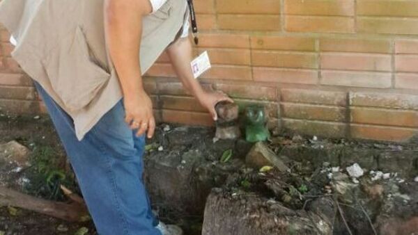 Persisten dengue y chikungunya: "Residuos son el 80% de los criaderos", advierte Sequera