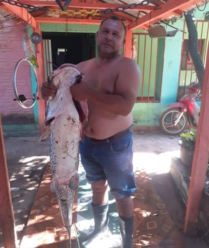 Pescan otro gigante Surubí en Ypané