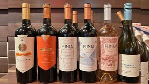 Desde el Valle de Uco con alma francesa llegan un Cabernet Franc y un Sauvignon Blanc