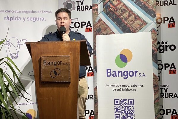 Bangor concretó “muy buenos precios” en feria de invernada por pantalla