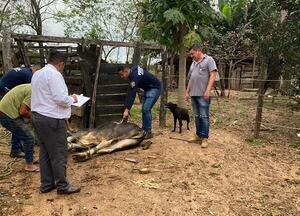 Diario HOY | Un hombre fue imputado por hurtar dos toros