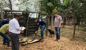 Un hombre fue imputado por hurtar dos toros
