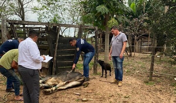Un hombre fue imputado por hurtar dos toros