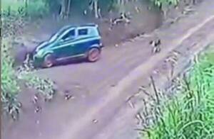 [VIDEO] ¡Pide ayuda para encontrarlo! Cámara de seguridad grabó cómo abandonaron a un firulais