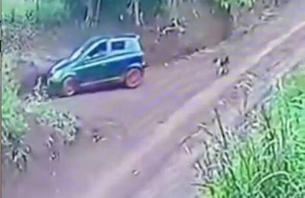[VIDEO] ¡Pide ayuda para encontrarlo! Cámara de seguridad grabó cómo abandonaron a un firulais
