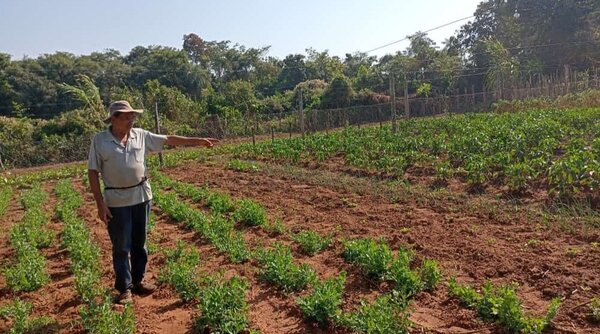 Productor sampedrano se destaca mediante la buena producción de rubros hortícolas - .::RADIO NACIONAL::.