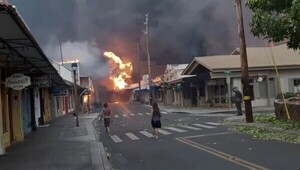 Francisco expresó su "solidaridad" con las víctimas de los incendios en Hawai - .::Agencia IP::.