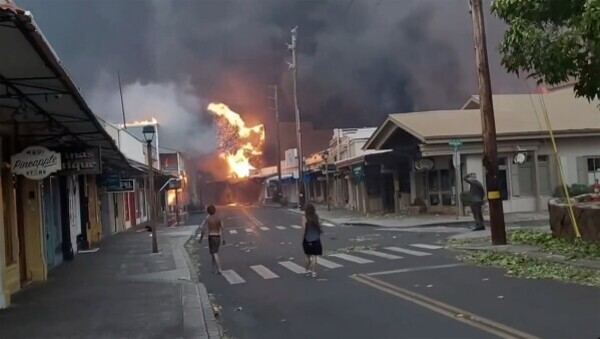 Francisco expresó su "solidaridad" con las víctimas de los incendios en Hawai - .::Agencia IP::.