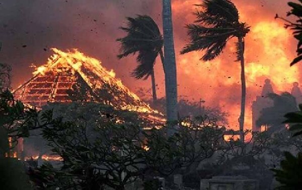 Se eleva a 53 la cifra de fallecidos por el incendio forestal en Hawai – Prensa 5