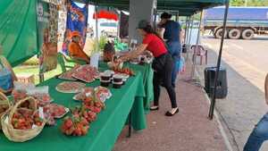 Exitosa feria de frutillas en Coronel Oviedo