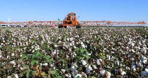 La Nación / Acuerdan impulsar desarrollo sostenible de agroecosistemas