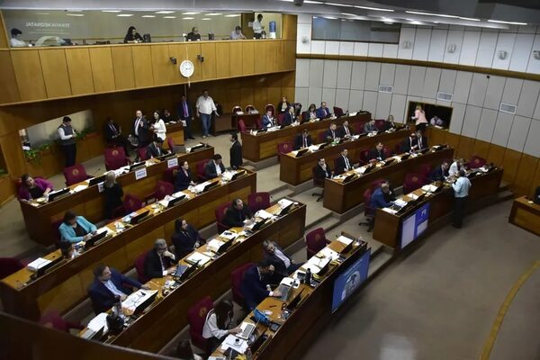 Nombrar viceministerios de Economía no resuelve el problema constitucional, afirman - Política - ABC Color