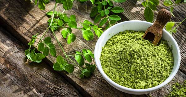 La Nación / Esta es la planta que sirve para adelgazar y ayuda a acelerar el metabolismo
