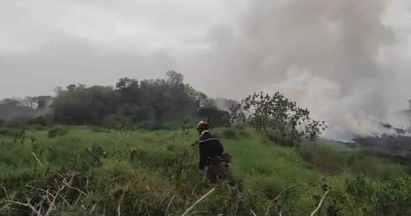 La Nación / Reportan incendio forestal en Capiatá