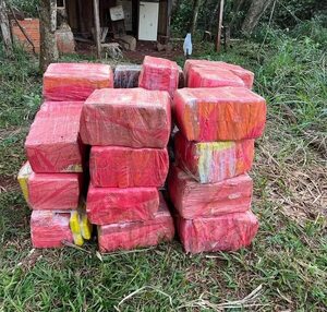 Incautan 633 kilos de marihuana, a orillas del lago de Itaipú - ABC en el Este - ABC Color