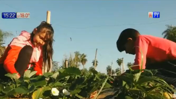 Pequeñas horticultoras de Itá sueñan salir adelante