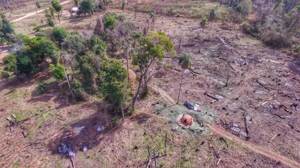 Deforestación, contaminación y graves incendios forestales durante el gobierno de Mario Abdo - Nacionales - ABC Color