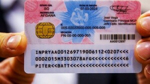 Expertos advierten sobre riesgos por facilidad de duplicación de cédulas