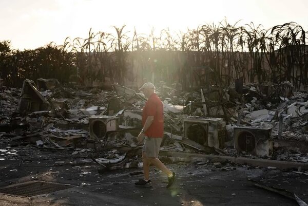 Hawái: ya son 96 los muertos en Maui y la prioridad es buscar a cientos de desaparecidos - Mundo - ABC Color