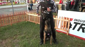 Ciudadanía aprendió a educar a su perro con Industrias Trociuk y G.D.T Dogs Training