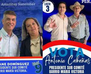 Eliane Domínguez se impuso a Toño Cabañas para presidente de Sub Comité Liberal