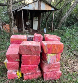 Requisan más de 600 kilos de marihuana a orilla del Lago Itaipú