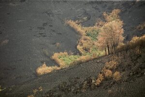 Los rayos secos pueden provocar incendios forestales - Ciencia - ABC Color
