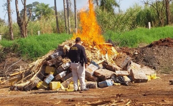 Eliminan más de 6.000 kilos de marihuana prensada por orden judicial