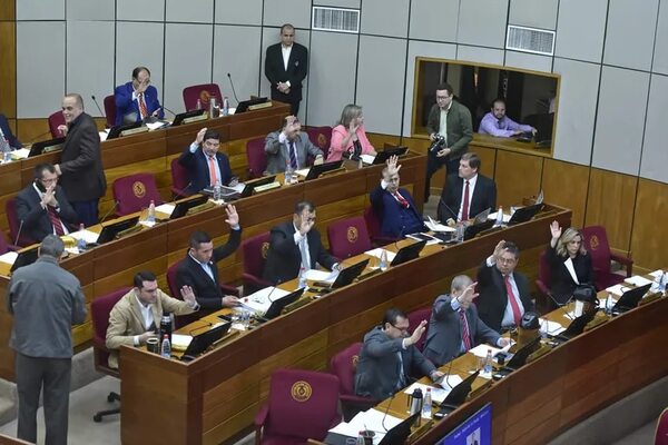 Senado acepta veto a ley que pretendía transparentar el costo del diésel - Política - ABC Color