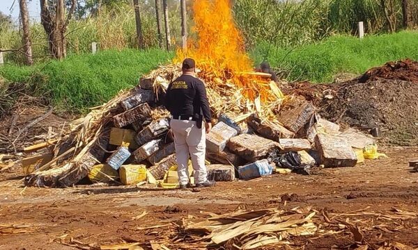 Incineran más de 6.000 kilos de marihuana por orden judicial
