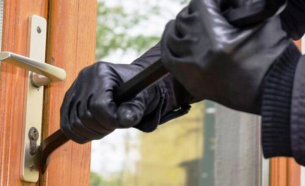 Imputan a ladrón que se había hurtado hasta un cachorro