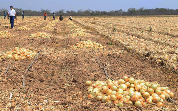 Crisis argentina llena de contrabando el país y perjudica a los productores locales - La Clave