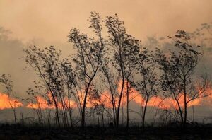 Diario HOY | Ganadores del concurso "Fotografía y Derechos Humanos: Crisis Climática"