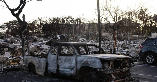 La Nación / Incendio en Hawái: estiman que podría haber 200 muertos