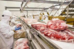 Dos frigoríficos fueron habilitados para exportar carne paraguaya a Taiwán - Economía - ABC Color