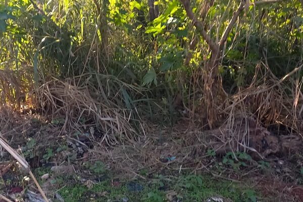 Hallan muerto a joven que estaba desaparecido