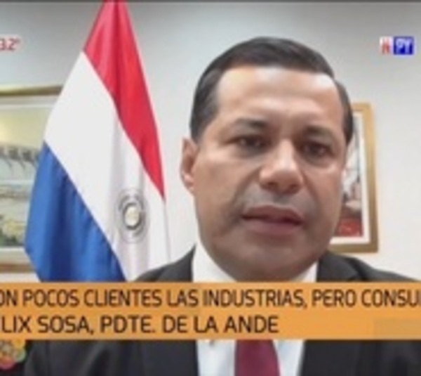 Reformas a la ANDE buscan rentabilizarla, según Félix Sosa - Paraguay.com