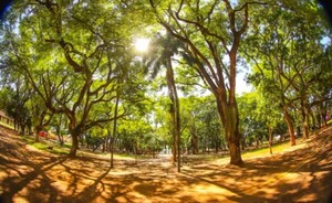 Mitad de semana con ambiente caluroso y vientos moderados del noreste