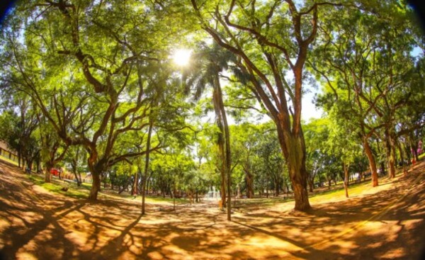 Mitad de semana con ambiente caluroso y vientos moderados del noreste